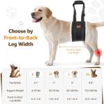 Adjustable Dog Lift Harness for Rear Leg Support