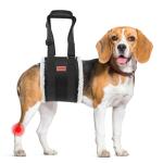Adjustable Dog Lift Harness for Weak Rear Legs