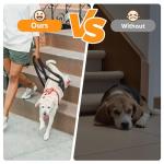 Adjustable Dog Lift Harness for Weak Rear Legs