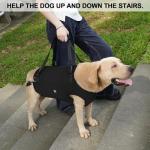 Coodeo Adjustable Dog Lift Harness for Support