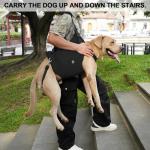 Coodeo Adjustable Dog Lift Harness for Support