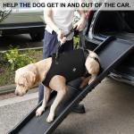 Coodeo Adjustable Dog Lift Harness for Support
