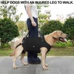 Coodeo Adjustable Dog Lift Harness for Support