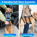 Lafoty 2-in-1 Dog Lift Harness for Large Dogs