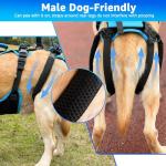 Lafoty 2-in-1 Dog Lift Harness for Large Dogs
