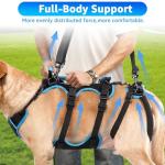 Lafoty 2-in-1 Dog Lift Harness for Large Dogs