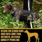 OneTigris Large Dog Lift Harness and Support Vest