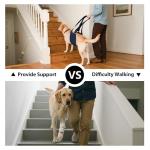 Adjustable Dog Lift Harness with Padded Handles