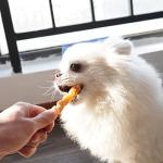 Chicken Rawhide Twist Sticks for Small Dogs