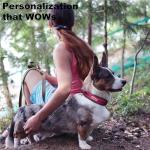 Custom Dog Collar with Name & Phone Number