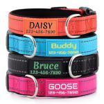Custom Reflective Dog Collar with Name & Number