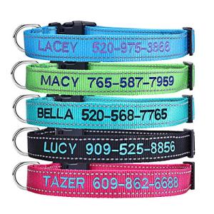 Custom Embroidered Dog Collar with Adjustable Sizes