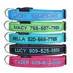 Custom Embroidered Dog Collar with Adjustable Sizes