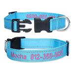 Custom Embroidered Dog Collar with Adjustable Sizes