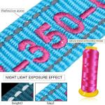 Custom Embroidered Dog Collar with Adjustable Sizes