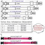 Custom Embroidered Dog Collar with Adjustable Sizes