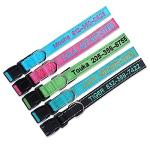 Custom Embroidered Dog Collar with Adjustable Sizes