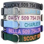 Custom Embroidered Dog Collar with Name & Number