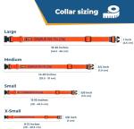 Custom Embroidered Dog Collar with Name & Number