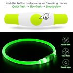 USB Rechargeable LED Dog Collar Light in Green