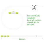 USB Rechargeable LED Dog Collar Light in Green