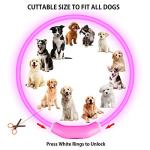 2-Pack LED Dog Collars for Night Walking