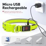 LED Rechargeable Dog Collar - Neon Green
