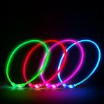 Rechargeable LED Dog Collar for Night Safety