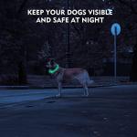 Rechargeable LED Dog Collar for Night Safety