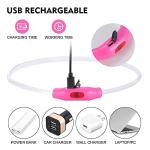 Rechargeable LED Dog Collar for Night Safety