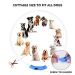Rechargeable LED Dog Collar for Night Safety