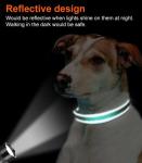 Joytale Adjustable Reflective Dog Collar for Medium Dogs