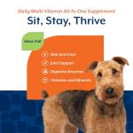 NaturVet All-in-One Dog Supplement Soft Chews