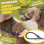Fida Reflective Slip Lead Dog Leash - 6 FT