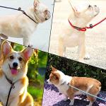 MayPaw No-Pull Slip Leash for Dogs, 7 FT