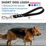 Heavy Duty 9-Inch Dog Training Leash