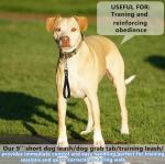 Heavy Duty 9-Inch Dog Training Leash