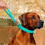 Heavy Duty 9-Inch Dog Training Leash