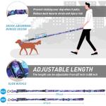 Heavy Duty Bungee Dog Leash with Padded Handle