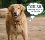 Heavy Duty 9-Inch Dog Training Leash