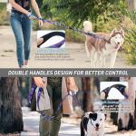 Heavy Duty Bungee Dog Leash with Padded Handle