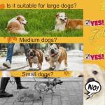 Heavy Duty Double Dog Leash - Tangle-Free Bungee