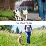 MingXpets Tangle-Free Double Dog Leash with Bungee