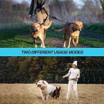 PetBonus Double Leash for 2 Dogs, No Tangle