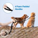 PetBonus Double Leash for 2 Dogs, No Tangle