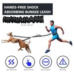 Hands-Free Double Dog Leash with Pouch