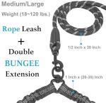 Double Dog Leash with Traffic Handles and Bungee