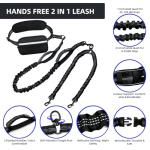 Hands-Free Double Dog Leash with Pouch
