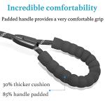 Double Dog Leash with Traffic Handles and Bungee