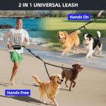 Hands-Free Double Dog Leash with Pouch
